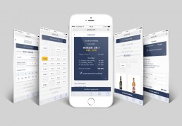 Bookingmodul - Design af UI-elementer til GoBoat, som også kunne fungere i en app